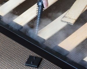 Professional bed bug removal services